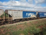 RUMO HPT-031901-5